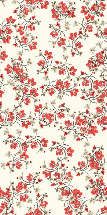 752391-20161202-4S-2