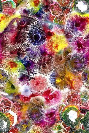 肌理印花华亿平台图片