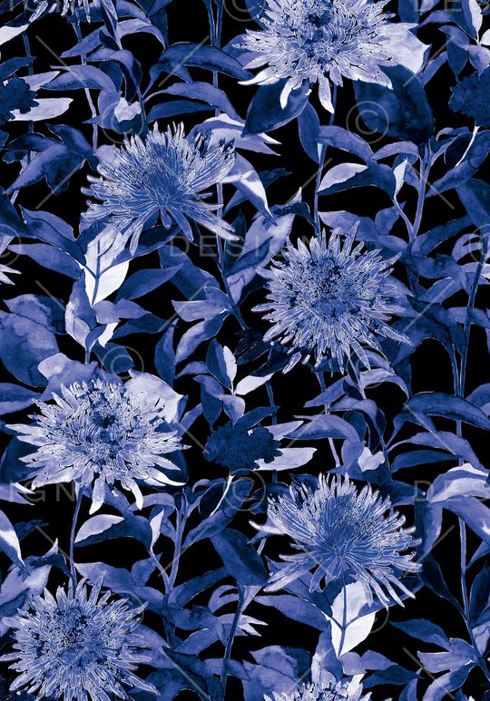 雏菊印花华亿平台图片