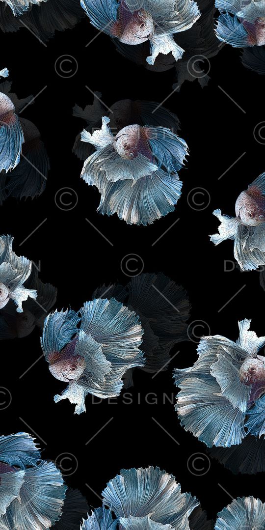 鱼印花华亿平台图片