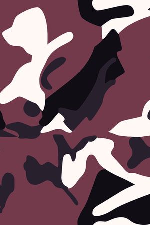 军装迷彩印花华亿平台图片