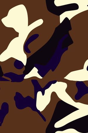 军装迷彩印花华亿平台图片