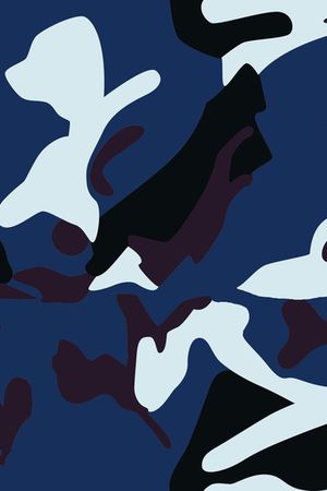 军装迷彩印花华亿平台图片