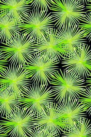 芭蕉叶印花华亿平台图片