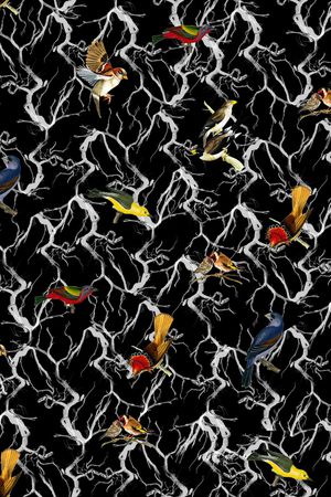 小鸟印花华亿平台图片