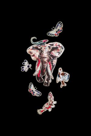 大牌印花华亿平台图片