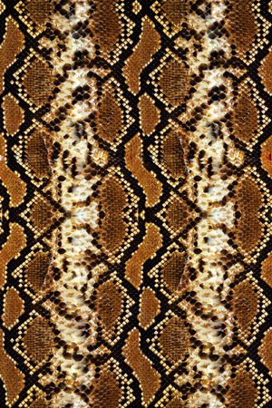 女装印花华亿平台图片