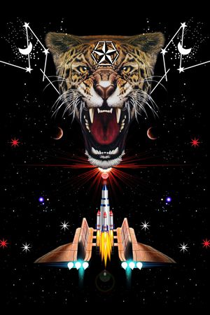 大牌印花华亿平台图片