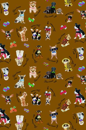 动物印花华亿平台图片