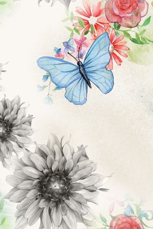 五彩蝴蝶印花华亿平台图片