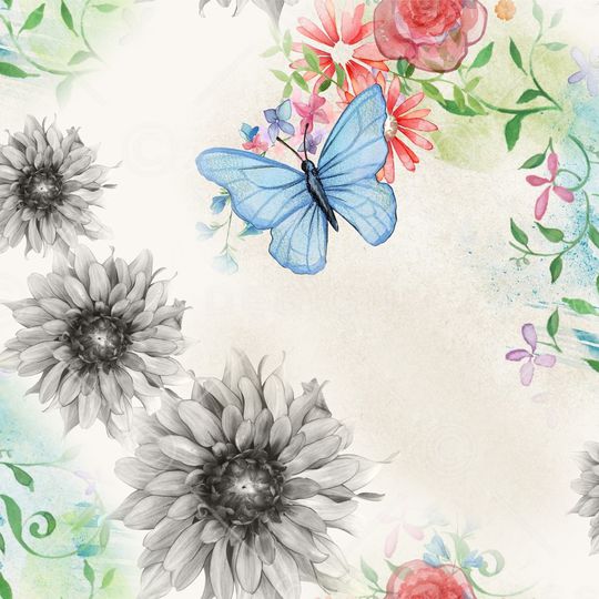 五彩蝴蝶印花华亿平台图片