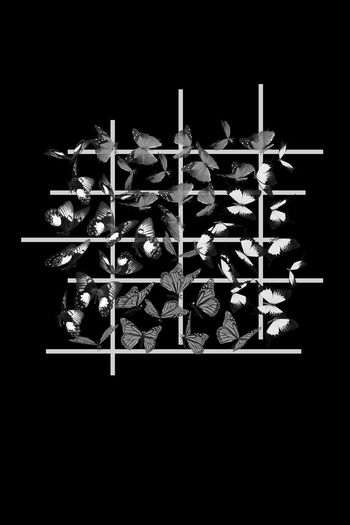 753079-H010 1 蝴蝶男装