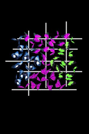 男装印花华亿平台图片