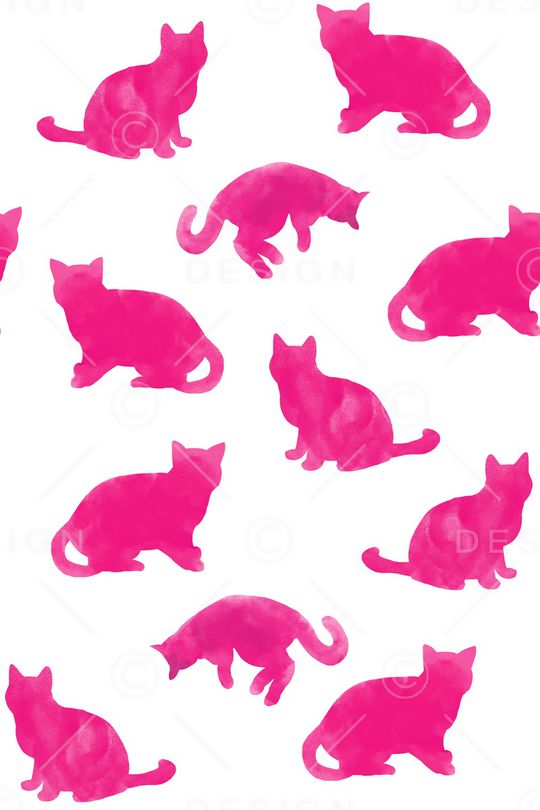 猫印花华亿平台图片