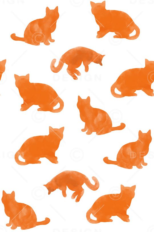 猫印花华亿平台图片