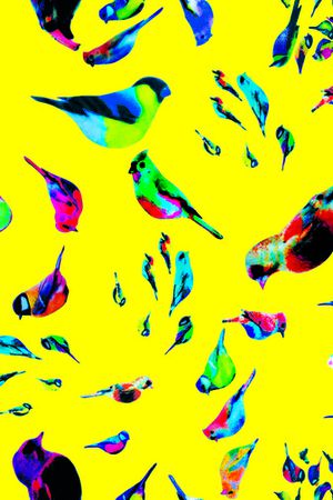 天堂鸟印花华亿平台图片