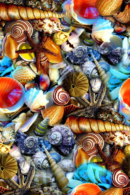 休闲印花华亿平台图片