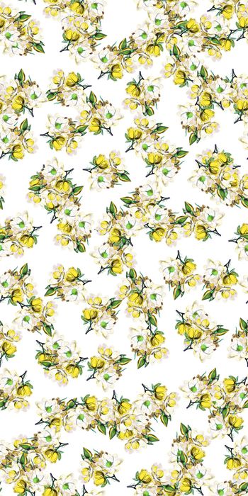 753628-20161204-12S-1