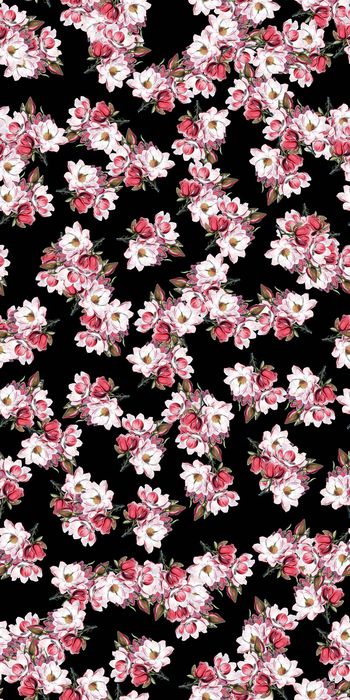 753630-20161204-12S-3