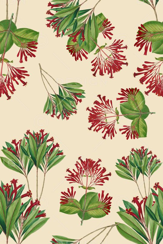 花朵印花华亿平台图片