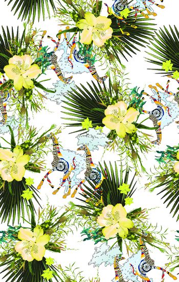 753770-棕榈花-白底