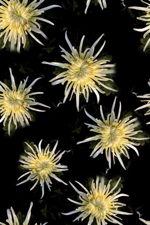 丝巾女装家纺印花华亿平台图片