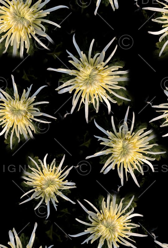 丝巾女装家纺印花华亿平台图片