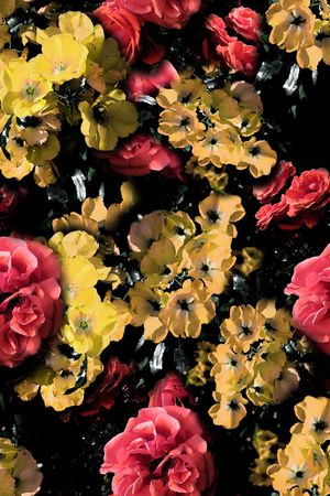 丝巾女装家纺印花华亿平台图片