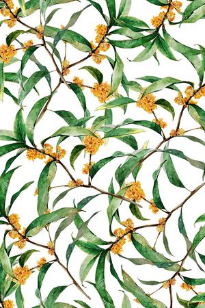 丝巾女装家纺印花华亿平台图片