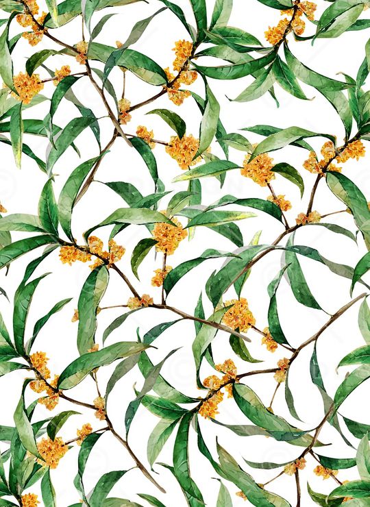 丝巾女装家纺印花华亿平台图片