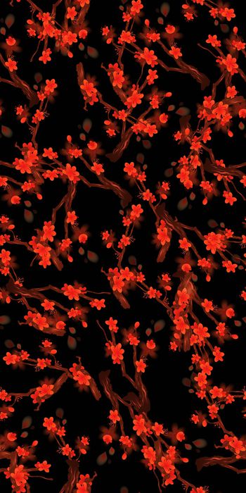 754387-20161204-15S-1