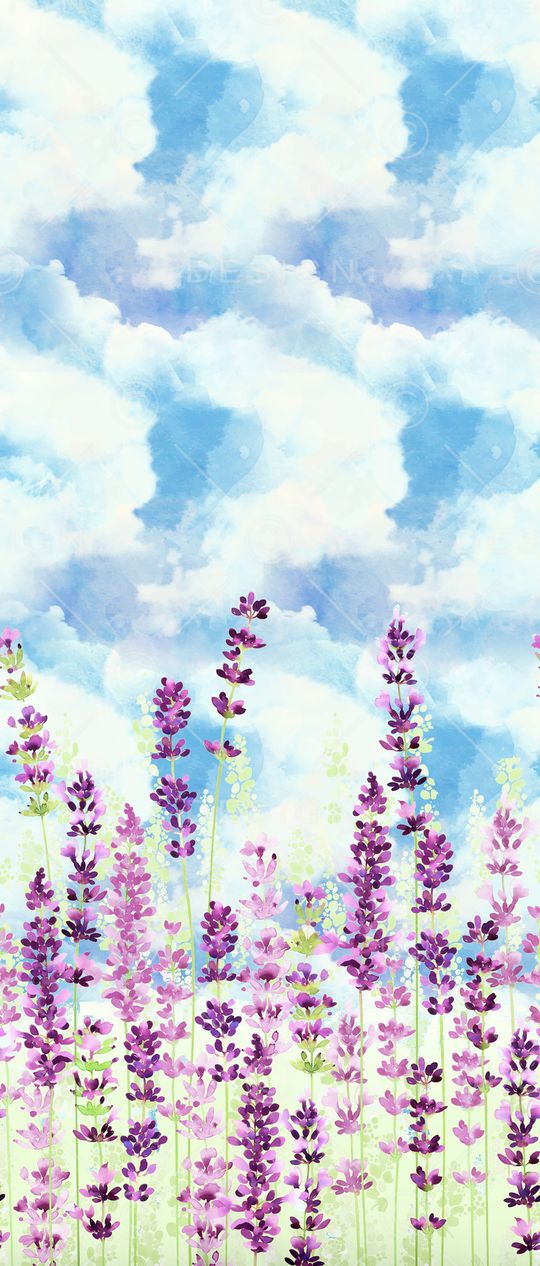 天空印花华亿平台图片