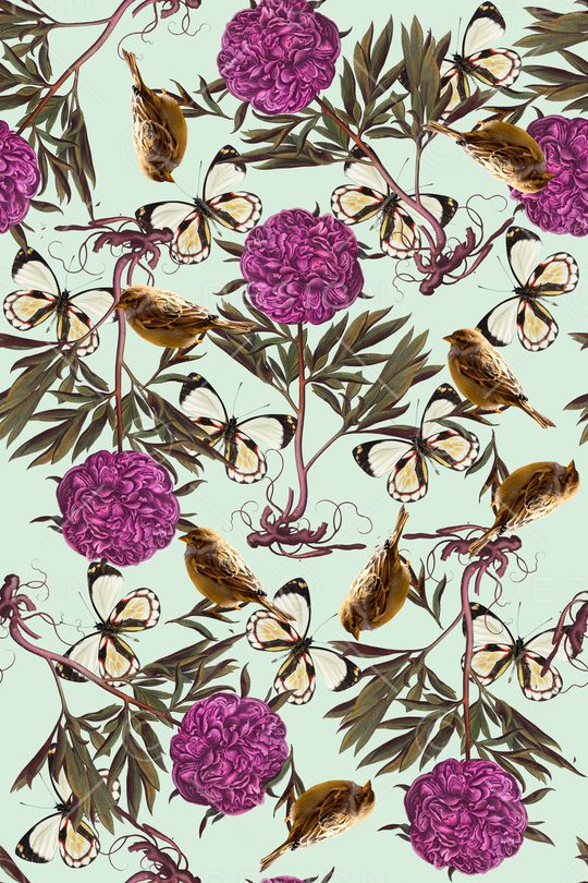 蝴蝶印花华亿平台图片