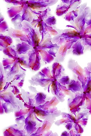 花朵印花华亿平台图片