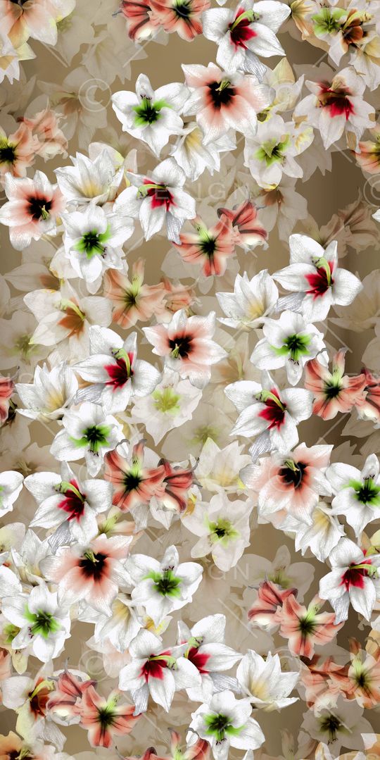 水仙花印花华亿平台图片