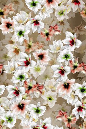 水仙花印花华亿平台图片