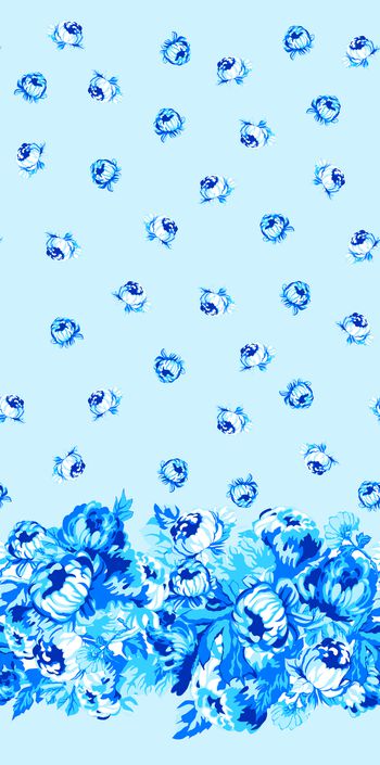 754542-菊花-浅蓝