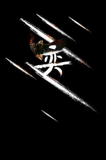 鹰印花华亿平台图片