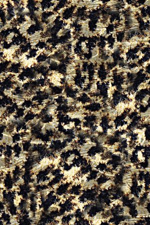 抽象手绘纹理动物纹豹纹数码印花印花华亿平台图片