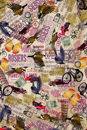 蝴蝶印花华亿平台图片