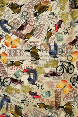 鸟印花华亿平台图片