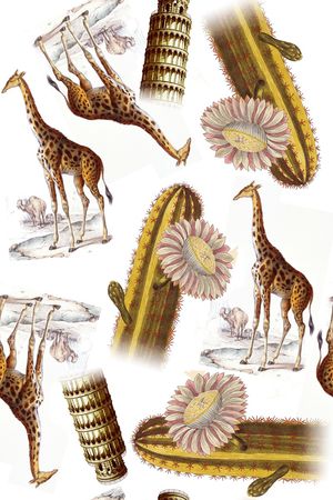 长颈鹿纹印花华亿平台图片