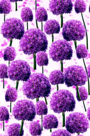 手绘花卉印花华亿平台图片