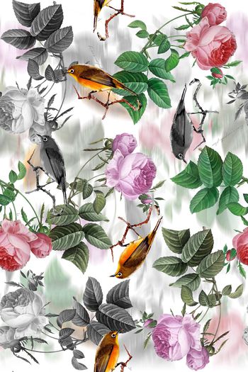 花鸟图印花华亿平台图片