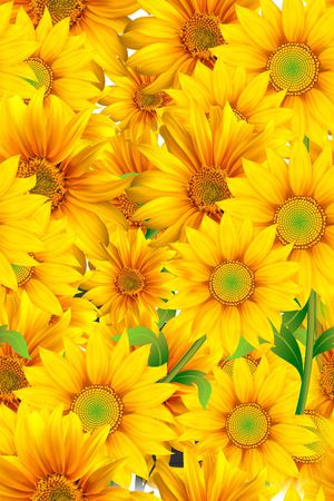 花卉·印花华亿平台图片