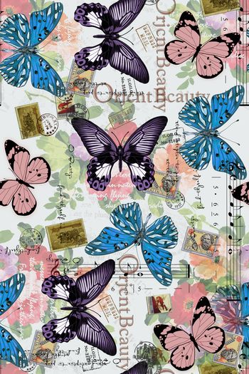 蝴蝶印花华亿平台图片