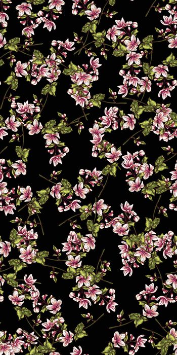 755460-20161207-17S-1