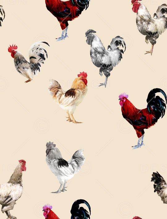 鸡年华亿平台印花华亿平台图片