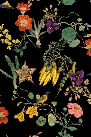 植物印花华亿平台图片