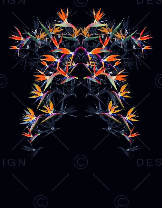 胸花图案印花华亿平台图片